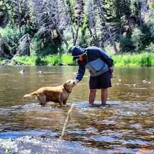 Meet your Posher, Ryan